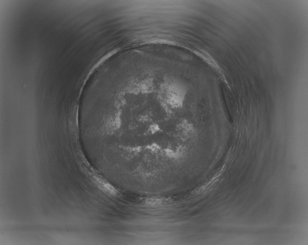 X0000074040790200609061206