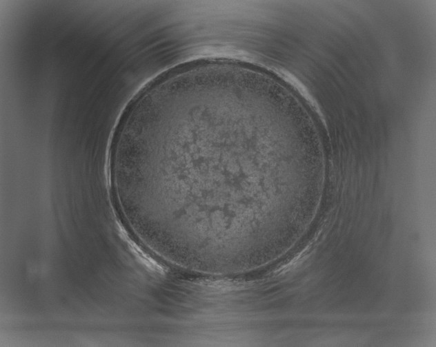 X0000074040791200609061206