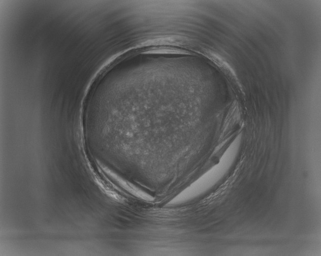 X0000074040792200609061206