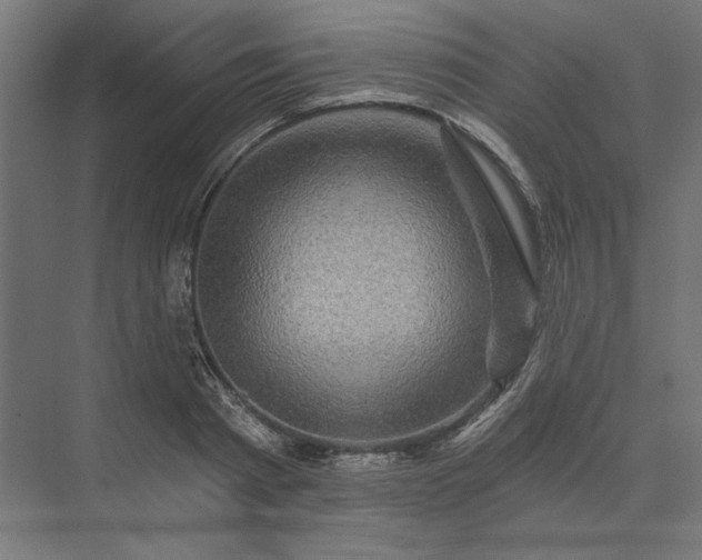 X0000074040793200609061206