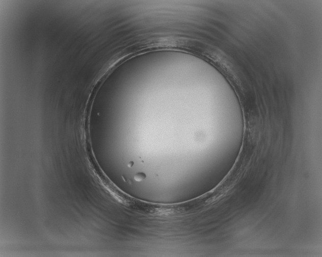 X0000074040794200609061206