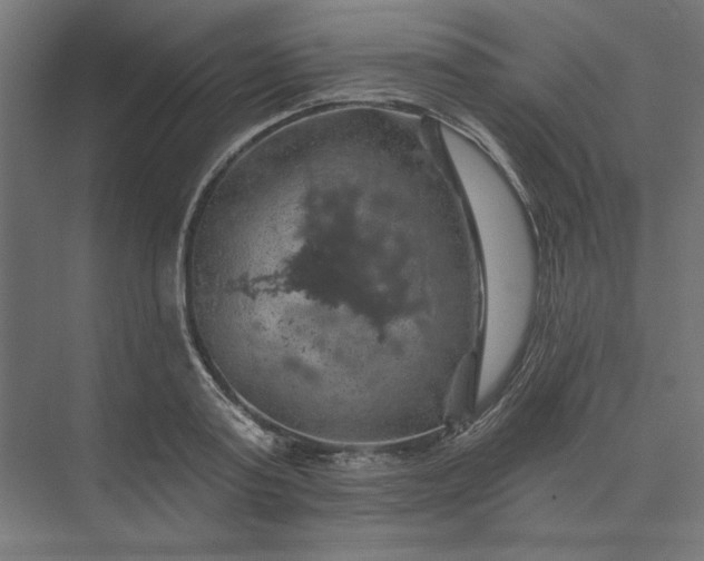 X0000074040795200609061206