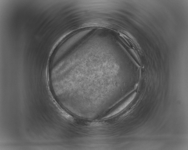 X0000074040796200609061206