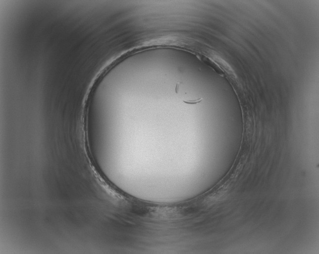 X0000074040800200609061206