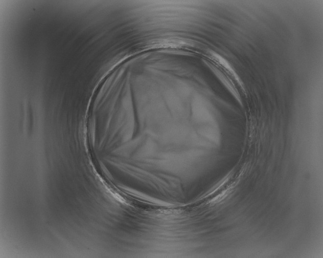 X0000074040802200609061206