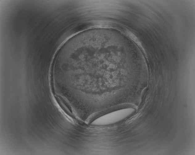 X0000074040803200609061206