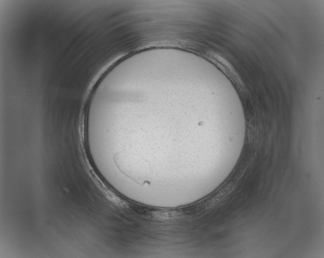 X0000074040804200609061206