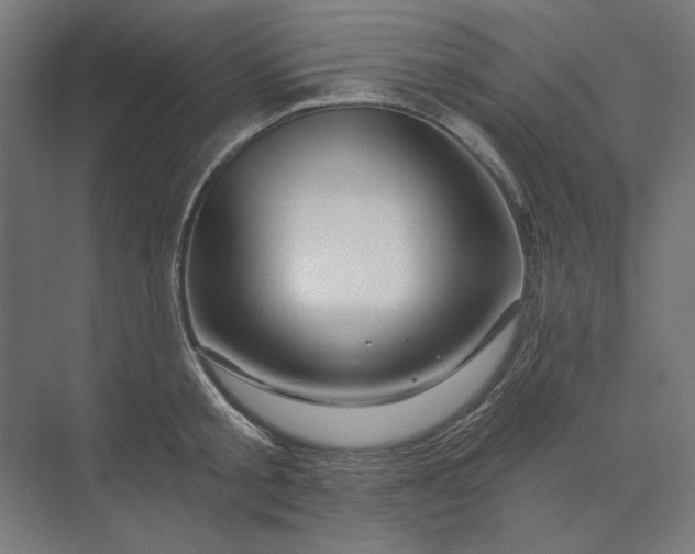 X0000074040805200609061206