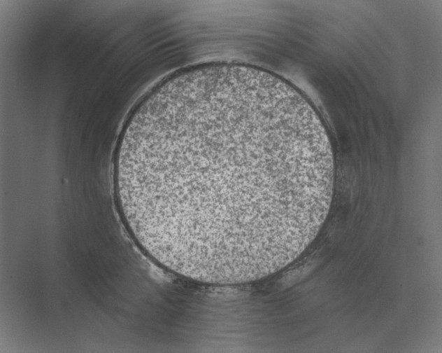 X0000074040807200609061206