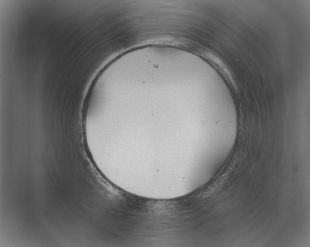 X0000074040808200609061206