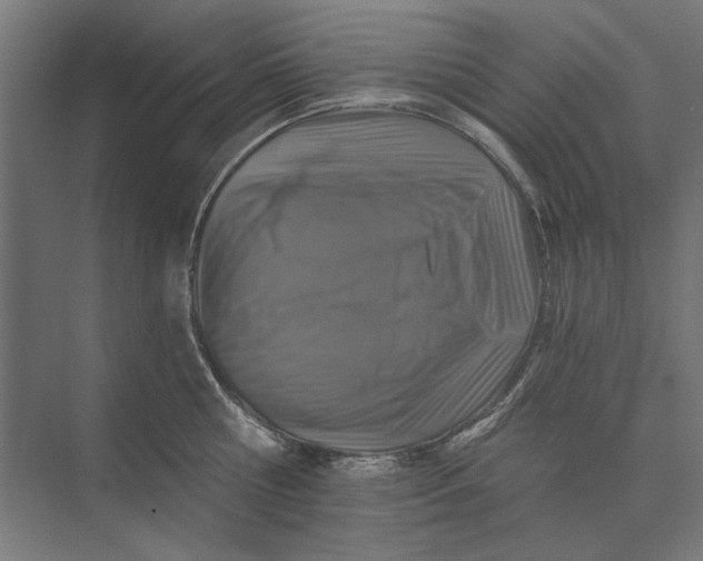 X0000074040810200609061206