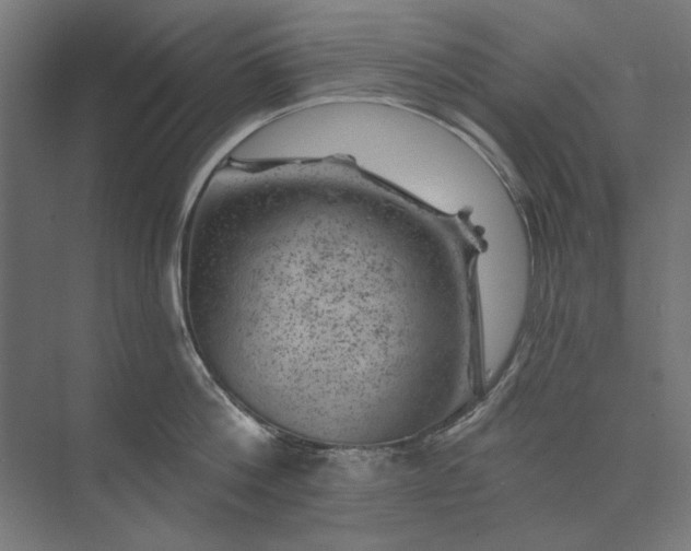 X0000074040812200609061206