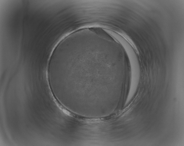 X0000074040813200609061206