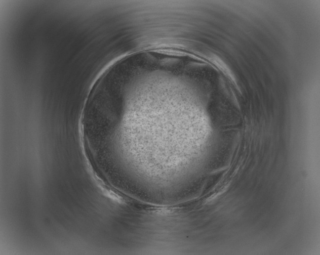 X0000074040814200609061206