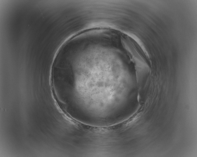 X0000074040815200609061206