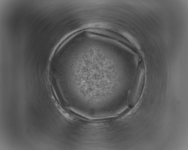 X0000074040816200609061206