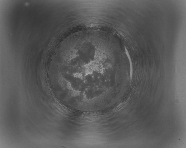 X0000074040817200609061205