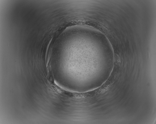 X0000074040818200609061205