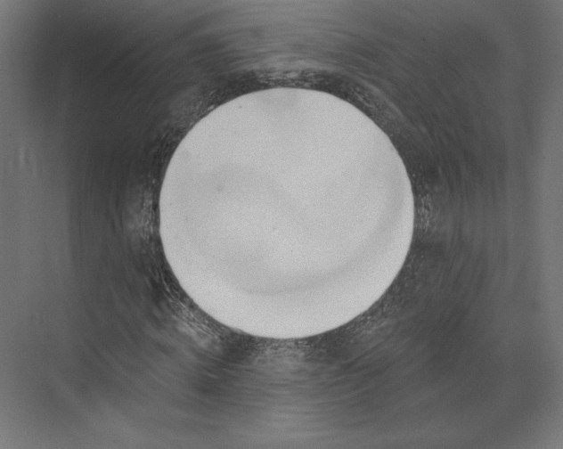 X0000074040820200609061205