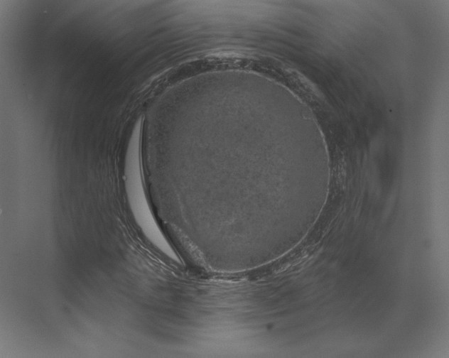 X0000074040821200609061205