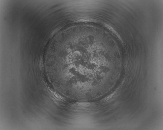 X0000074040825200609061205