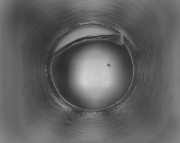 X0000074040826200609061205