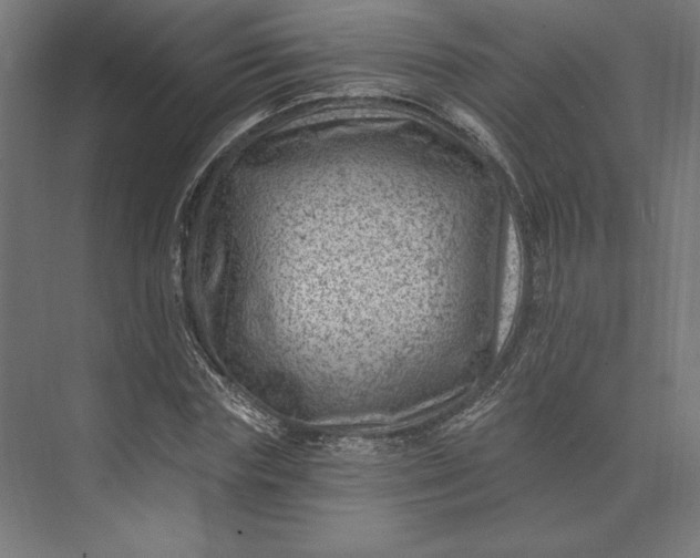 X0000074040827200609061205