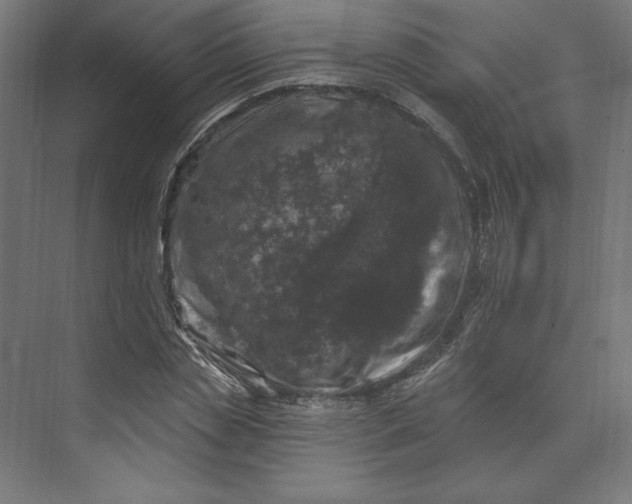 X0000074040829200609061205