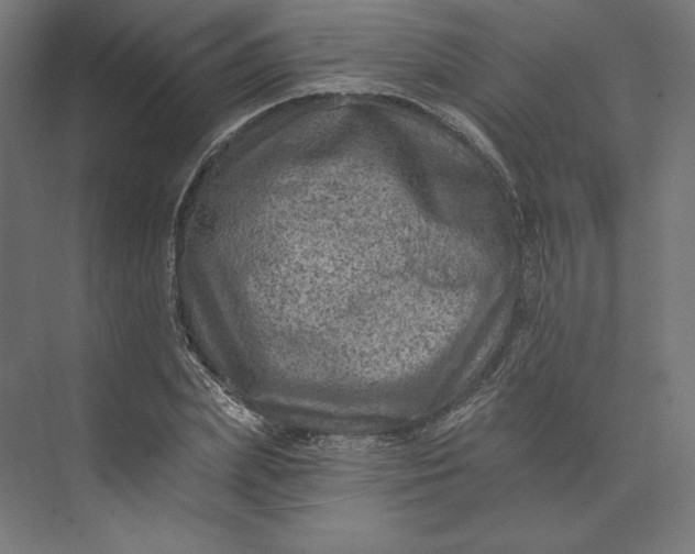 X0000074040831200609061205