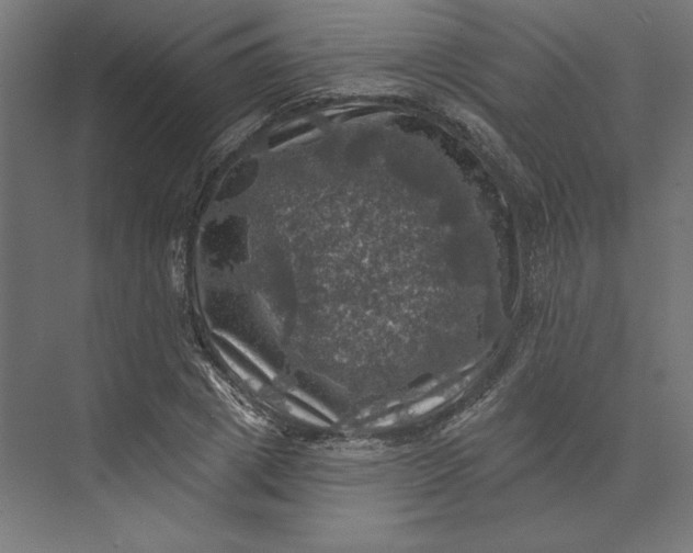 X0000074040833200609061205