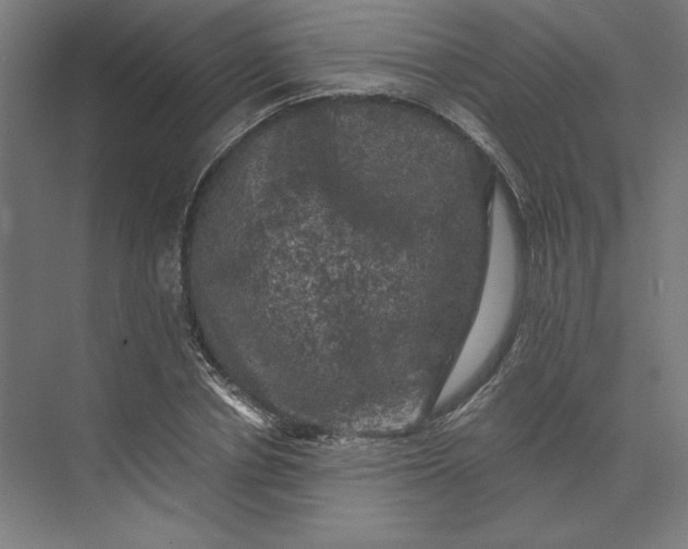 X0000074040834200609061205