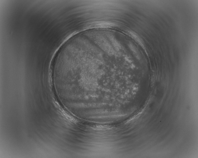 X0000074040835200609061205