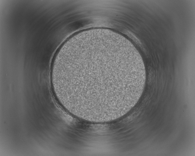 X0000074040836200609061205