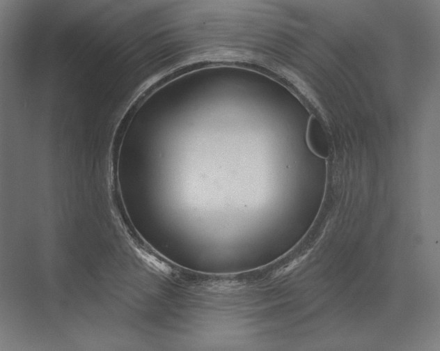 X0000074040837200609061205