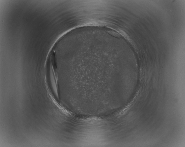 X0000074040838200609061205