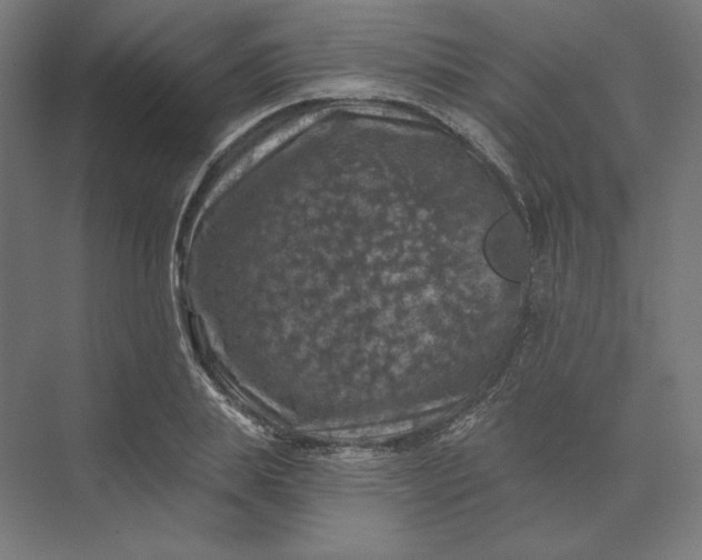 X0000074040839200609061205