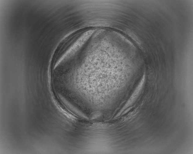 X0000074040840200609061205