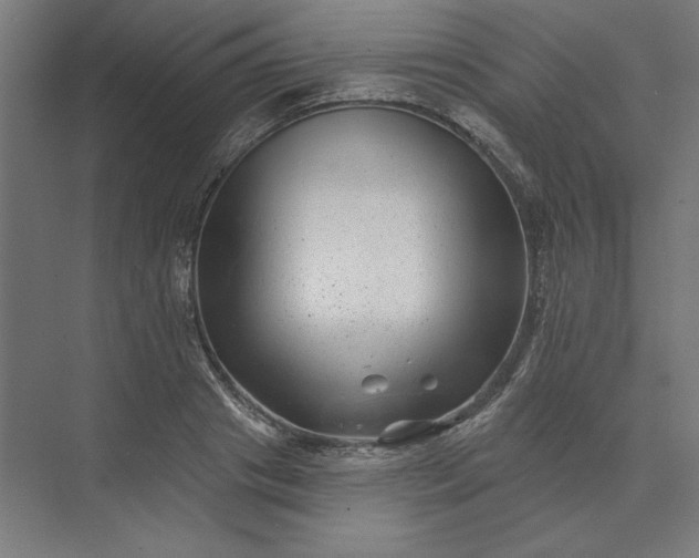 X0000074040841200609061205