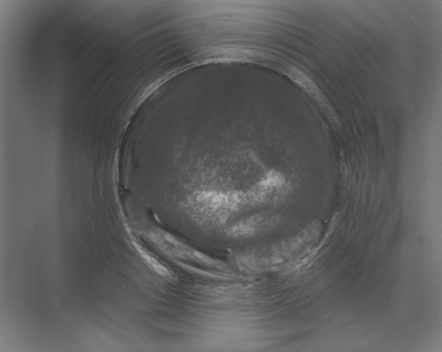 X0000074040842200609061205