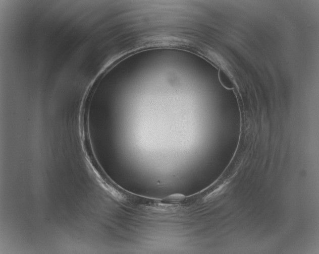 X0000074040843200609061205