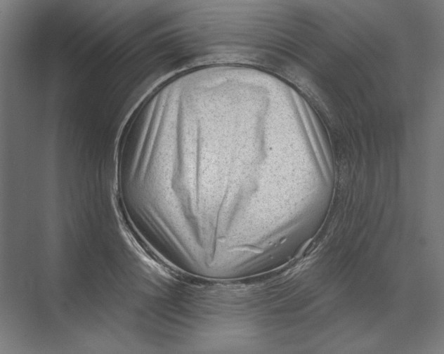 X0000074040844200609061205