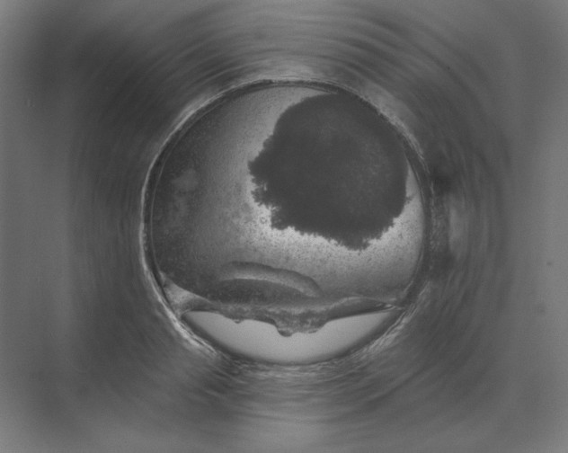 X0000074040845200609061205