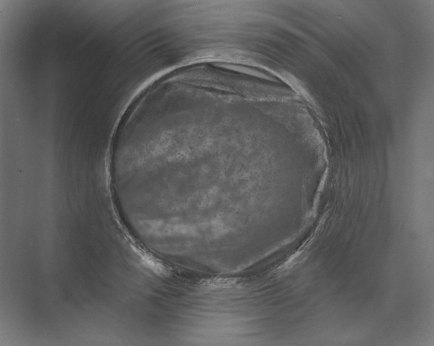 X0000074040846200609061205