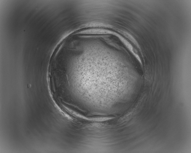 X0000074040847200609061205