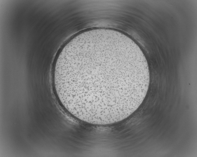 X0000074040848200609061205