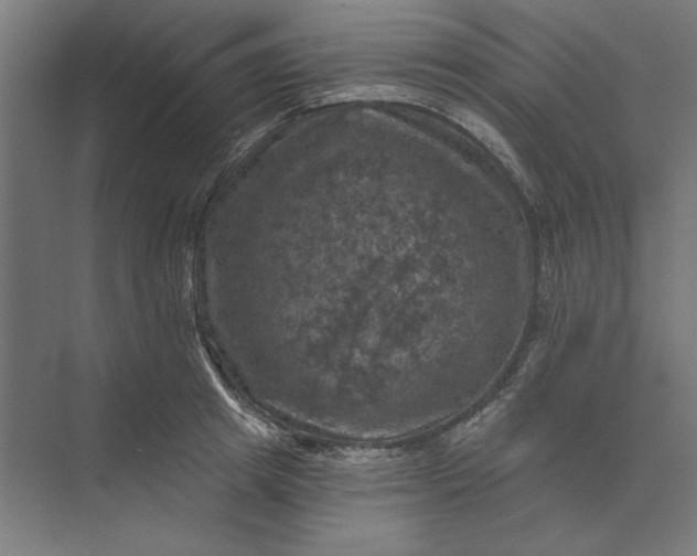 X0000074040849200609061205