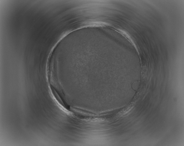 X0000074040851200609061205