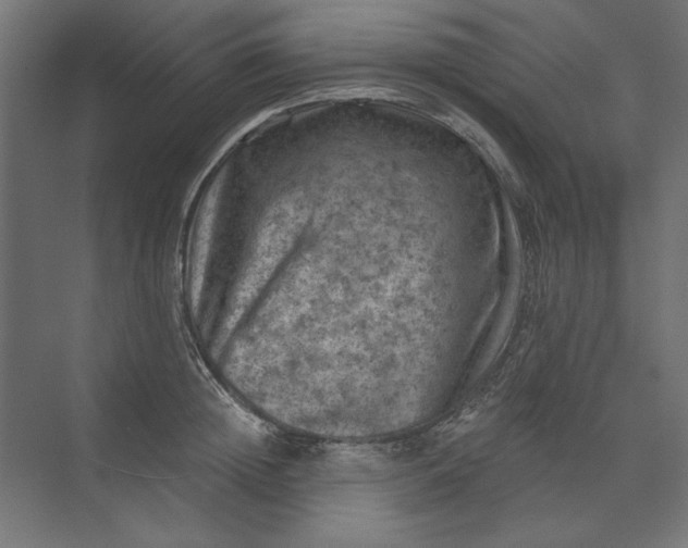 X0000074040852200609061206