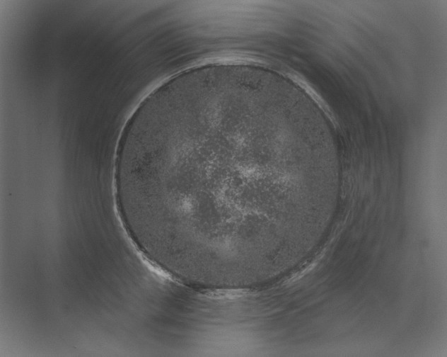 X0000074040853200609061206