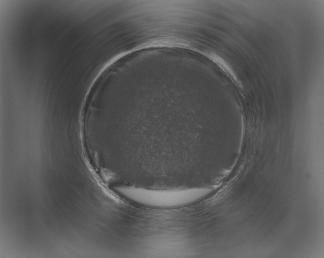 X0000074040854200609061206